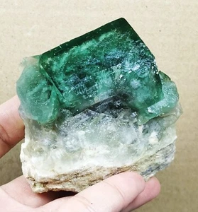 Rare Larger Particles Transparent Green Cube Fluorite Crystal Mineral Specimen - Picture 1 of 10