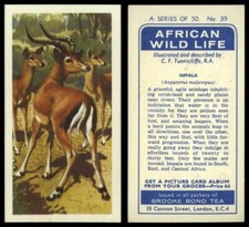 Impala #39 African Wild Life 1962 Brooke Bond Tea Card