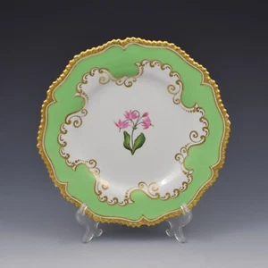 Flight Barr & Barr Worcester Porcelain Botanical Dessert Plate Dodecatheon - Picture 1 of 6
