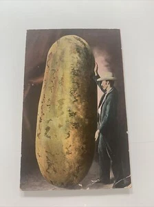 Extremely Rare Large California Watermelon 🍉 California Illinois 1907 Postcard - Picture 1 of 6
