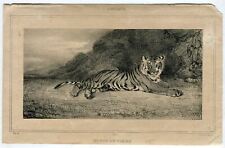 Antoine Louis Barye (1796-1875) Etude De Tigre 1832 Etching Lithograph