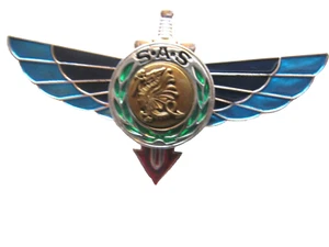COMMANDOS PARACHUTISTES BREVET 1° RPIMa RAPAS SAS 1° NIVEAU (RARE TRANSLUCIDE) - Picture 1 of 2
