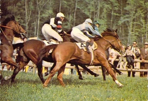 1970 NC Clemmons Horse Steeplechase @ Tanglewood Park Hunt Postcard 4x6 C45 - Picture 1 of 2
