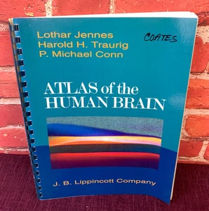 ATLAS OF THE HUMAN BRAIN by Lothar Jennes 1995 Spiral Bound Paperback Anatomy - Picture 1 of 6