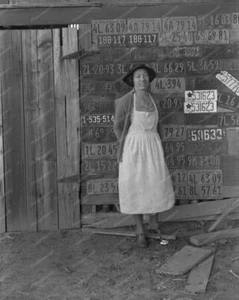 Lady Posing With Wall of Calif Plates 8x10 Reprint Of Old Photo - Bild 1 von 1