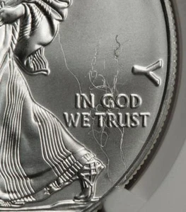 2018 NGC MS69 Struck Thru And Retained Silver Eagle Dollar Mint Error Unique Wow - Picture 1 of 6