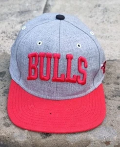 Mitchell & Ness NBA Chicago Bulls Hat Grey & Red Hardwood Classics Snapback Cap - Picture 1 of 13