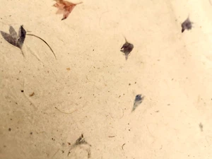 Mulberry Paper 10 sheets 75x50cm unique & beautiful pattern, Handmade, Lokta - Picture 1 of 3