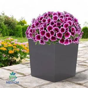 Pflanztopf Eckig Hochglanz Pflanzkübel mit Einsatz Blumenkübel Pflanzensäule - Bild 1 von 20