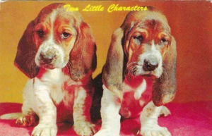 Vintage Dogs Puppies Chrome Postcard Two Little Characters Basset Pups - Picture 1 of 2