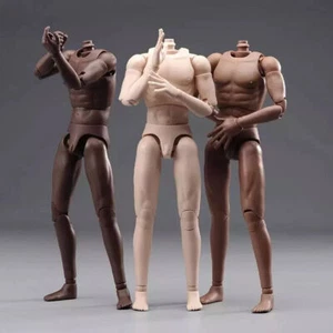 2024 1/6 Narrow Shoulder Flexible Joint Male 12" Soldat Figure Body BJD Doll - Bild 1 von 10