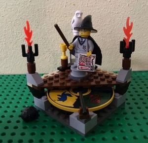 LEGO Harry Potter Sorting Hat 7401 100% Complete Parts Minifigure No Box Instr - Picture 1 of 4