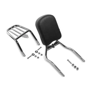 National Cycle Paladin Back Rest Kit: 07-12 Yamaha XV250 Virago & XVS250 V-Star - Picture 1 of 1