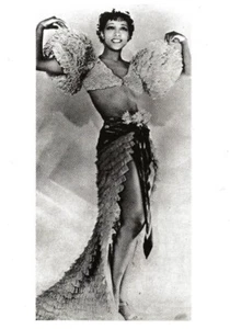 Cartolina "Josephine Baker" Ritratto Biblioteca del Congresso Foto MINT mai usata - Foto 1 di 2
