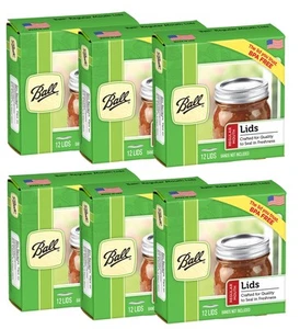 Regular Mouth Lids for Glass Mason Jars, Used for Canning, Pickling, Juice, J... - Picture 1 of 5