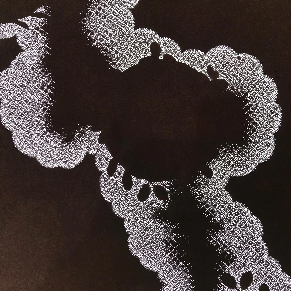 Plantilla kimono papel katagami japonés antiguo diseño de fondo decorativo C893 Foto 1 de 4