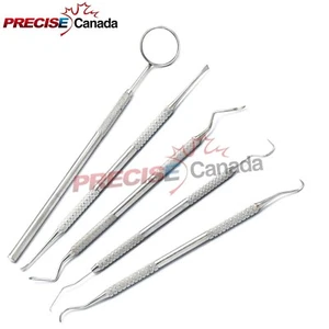 5 Pcs Dental Tartar Calculus Plaque Remover Tooth Scraper, Mirror & Scale PR-376 - Picture 1 of 3