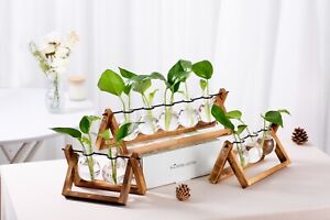 Plant Propagation Station Bulb Vase Plant Terrarium with Wooden Stand Hydroponic