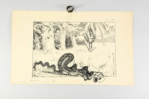 C04F31- Viktor Schramm (1865-1929) Federzeichnung tropischer Garten sign. dat. ' - Bild 1 von 12