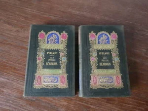 Delafaye LES PETITS BEARNAIS Didier 1853 2 volumes Reliure Romantique COMPLET - Picture 1 of 6