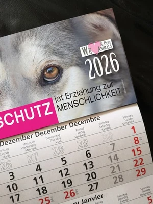 WE LOVE Kalender 2026 Hund Wandkalender Tierschutz 3-Monats-Kalender Hundekalender