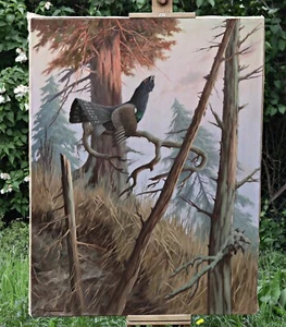 Heinz Roder (1895-1965) - paisaje con urogallo en una rama en el bosque - Imagen 1 de 8