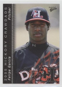 2005 MultiAd Sports Hickory Crawdads Felipe Garcia #12