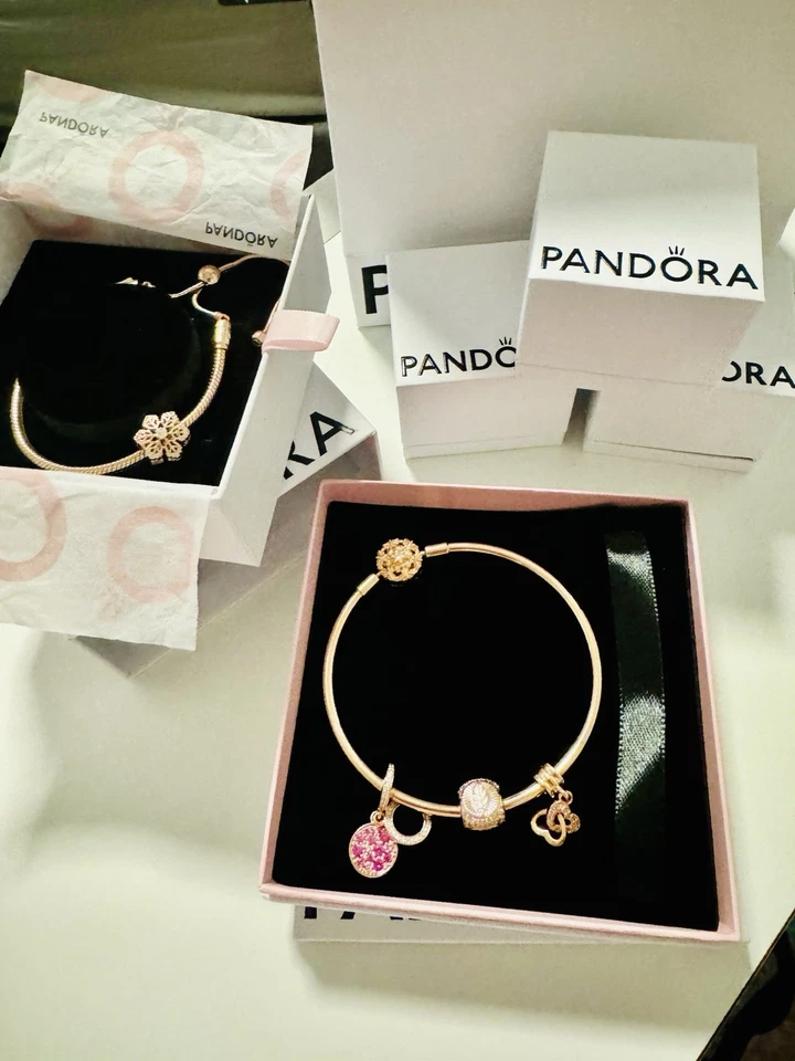 Genuine Rose Gold PANDORA Bracelets With Charms - image 1 of 4