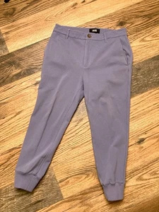 Paige 29 Indigo Blue/Purple Stretch Knit Elmwood Jogger Pants L 24 - Picture 1 of 6