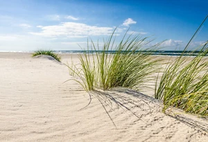 Fototapete VLIES -DÜNEN-(4620S)-Meer Strand Nordsee Ostsee Küste Gras See  - Bild 1 von 1