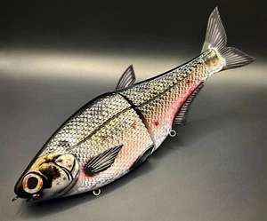 HINKLE SHAD CLONE GIZZARD SHAD ULTRA HD VERSION CUSTOM PAINTED SWIMBAIT 🔥 - Picture 1 of 4