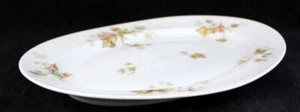 Plato Haviland HOJA DE ARCE 11 3/4" EXCELENTE ESTADO - Imagen 1 de 4