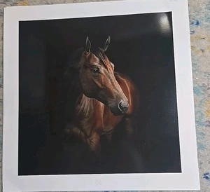 Set Of 3 Horse Head Prints Dark Brown In The Shadow 12" x 12" - Picture 1 of 11