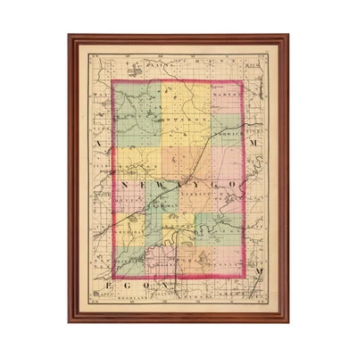 Old Map of Newaygo County, MI 1873 - Vintage Michigan Art - Image 1 of 4