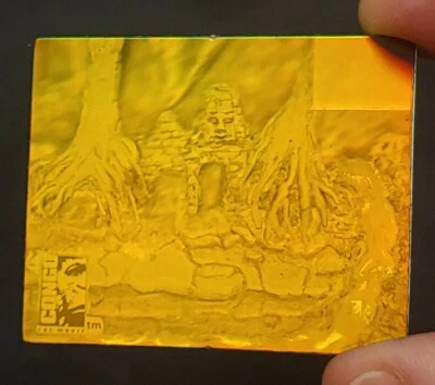 复古宝丽来 3-D 90 年代全息图原型 - 刚果 1.5 x 2 — 第 1/4 张图片