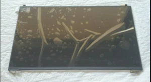 NEU ORIGINAL DELL LATITUDE 7300 LED LCD BILDSCHIRM DISPLAY PANEL C3WVJ 0C3WVJ - Bild 1 von 1