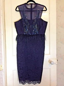S16 Fabulous COAST Aubergine Party Dress with Boned Bodice Fully Lined - Picture 1 of 7