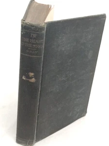 In the Heart of the Storm 1891 Maxwell Gray Tale of Modern Chivalry Antique Book - Picture 1 of 22