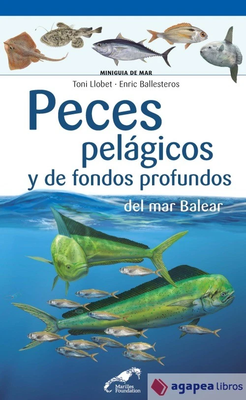 Peces pelágicos y de fondos profundos del mar Balear. NUEVO. ENVÍO URGENTE - Imagen 1 de 1