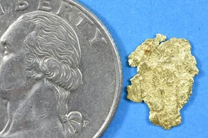 Alaskan-Yukon BC Goldrausch natürliches Goldnugget 0,33 Gramm echt - Bild 1 von 8
