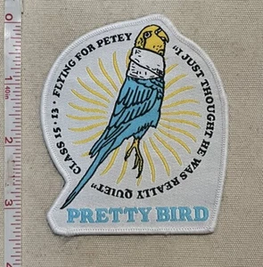 Patch classe USAF 15-13 Columbus AFB Pretty Bird - Foto 1 di 2