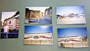 1988 PFORZHEIM 5x foto Dompteur René Strickler im CIRCUS RONCALLI cirque photo - Bild 1 von 1