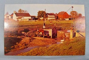 Grüße aus dem niederländischen Land Pennsylvania unbenutzte Postkarte Amish Farm PA (O) - Bild 1 von 2