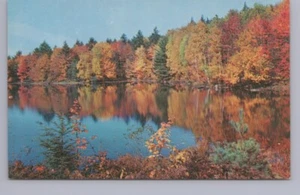 Lake Scene, Fall Colors, Somewhere, USA, Vintage Chrome Postcard - Picture 1 of 2