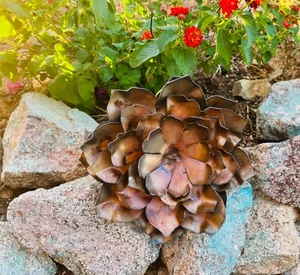 Handcrafted Rustic MINI Metal Echeveria Metal Lotus Yard Art Metal Cactus - Picture 1 of 15