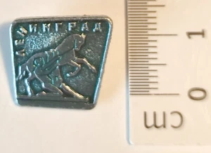 Abzeichen Badge Pin Leningrad Pferde-Bändiger Skulptur - Bild 1 von 1