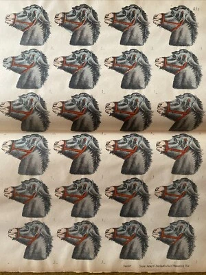 WISSEMBOURG BURCKARDT - LITHOGRAPHIE TÊTE D’ANNE IMAGERIE ALSACIENNE - Photo 1/3