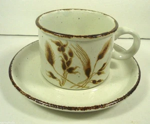 Vintage Midwinter Wild Oats Stonehenge Flat Cup & Saucer England  - Picture 1 of 3