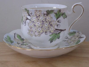 Vintage Royal Albert Bone China Flower of the Month Hawthorn Teacup & Saucer Set - Picture 1 of 14