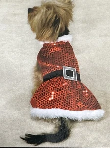 NEW Dog Halloween or Christmas Costume - Mrs Claus Size SMALL. Free Shipping! - Picture 1 of 9